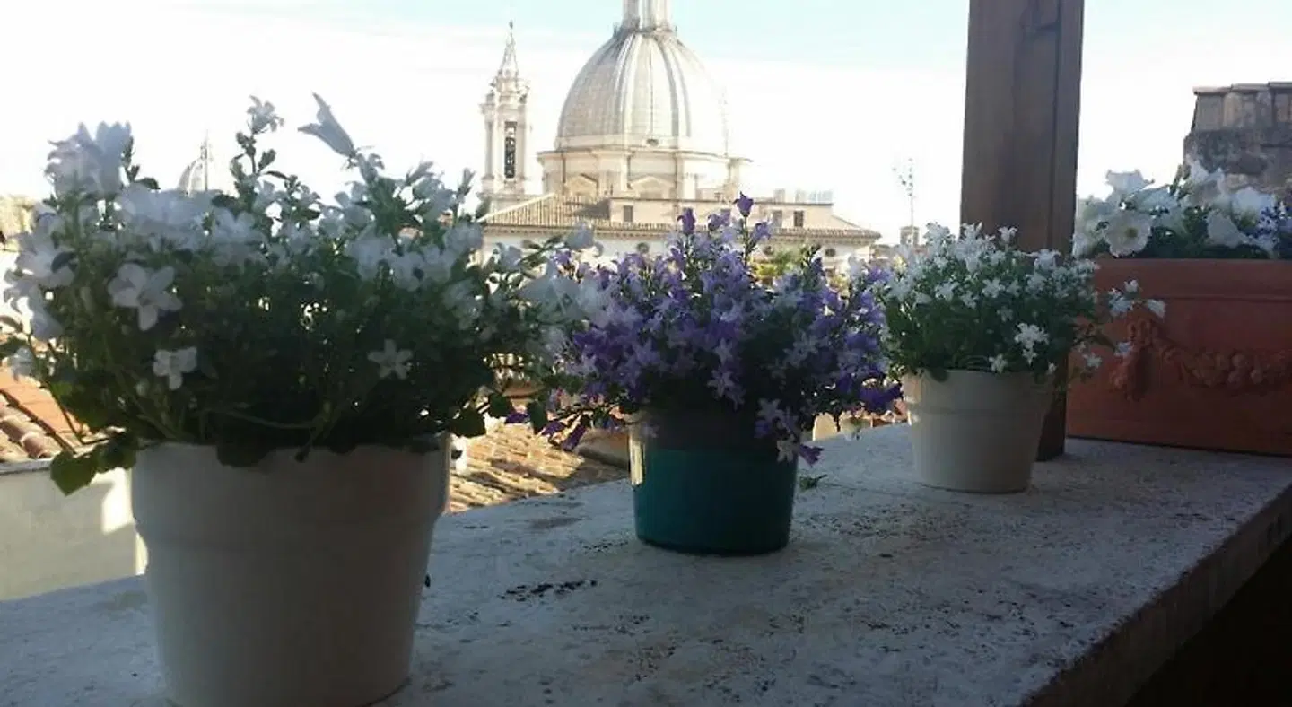 Navona 49 Garten