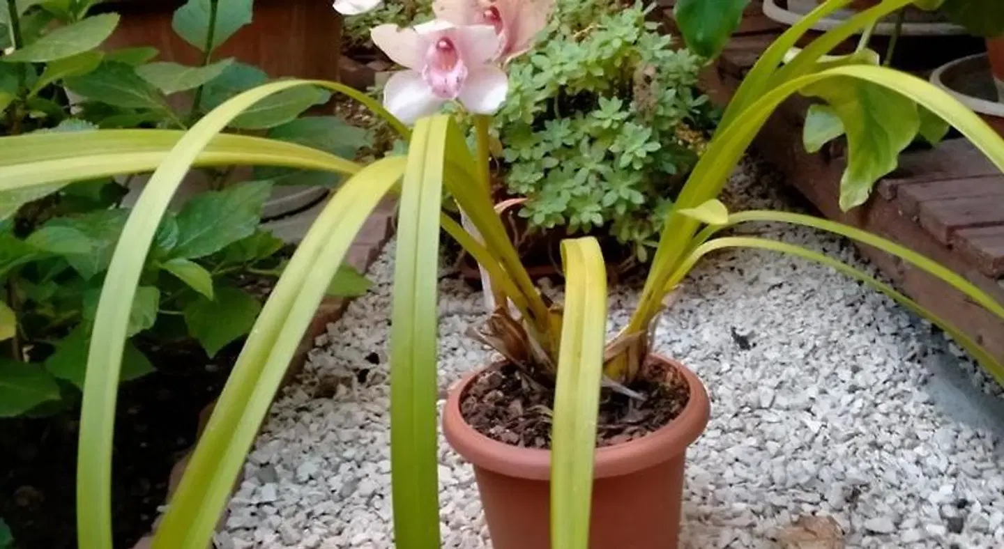 Dimora del Magnifico Garten