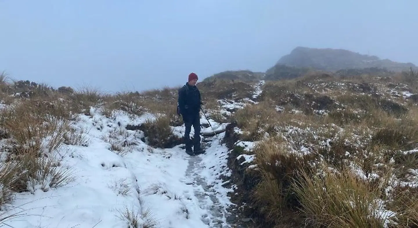 River Road Retreat LANDSCAPE