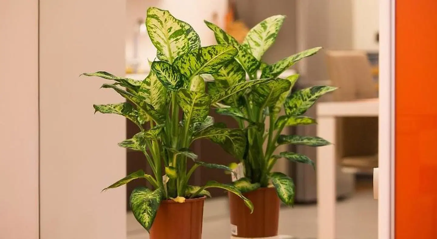 Apartments City Wellness Center LOUNGE_LOBBY