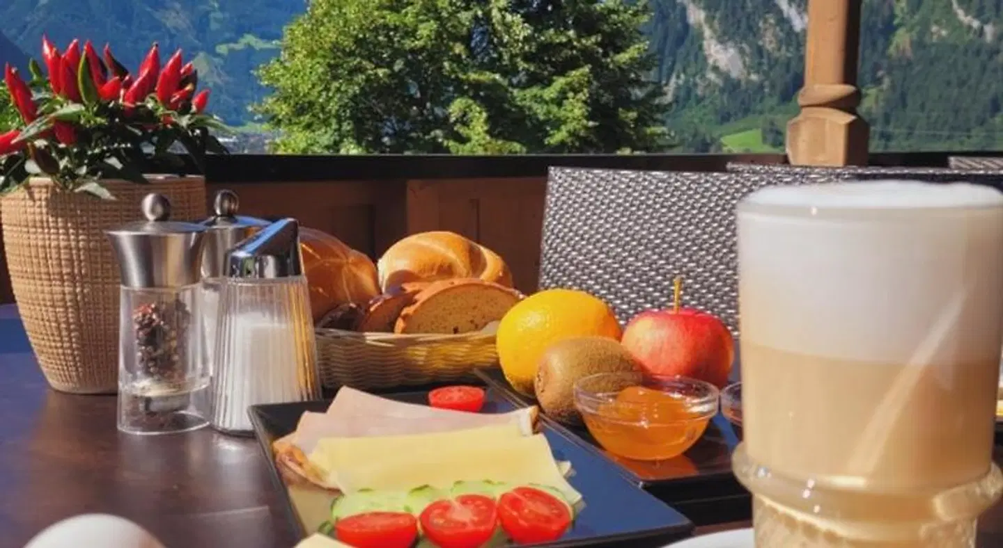 Hotel Eckartauerhof Terrasse