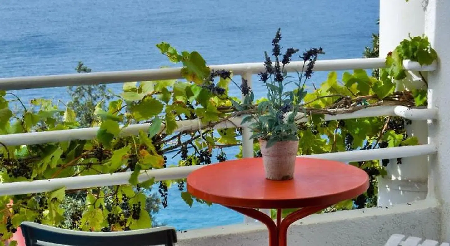 Apartments Miki Terrasse