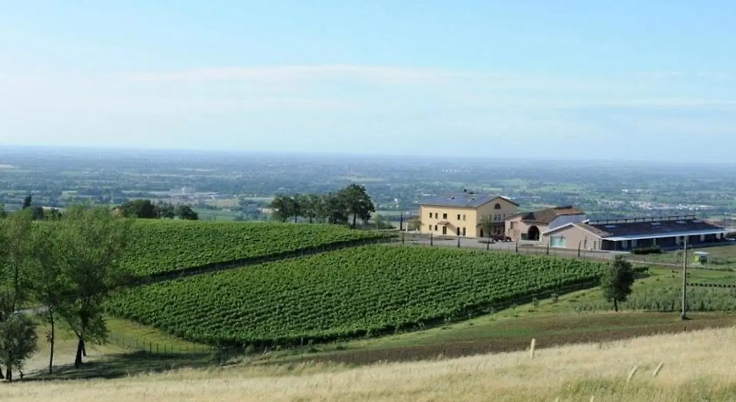 Pianderna Agriwellness LANDSCAPE