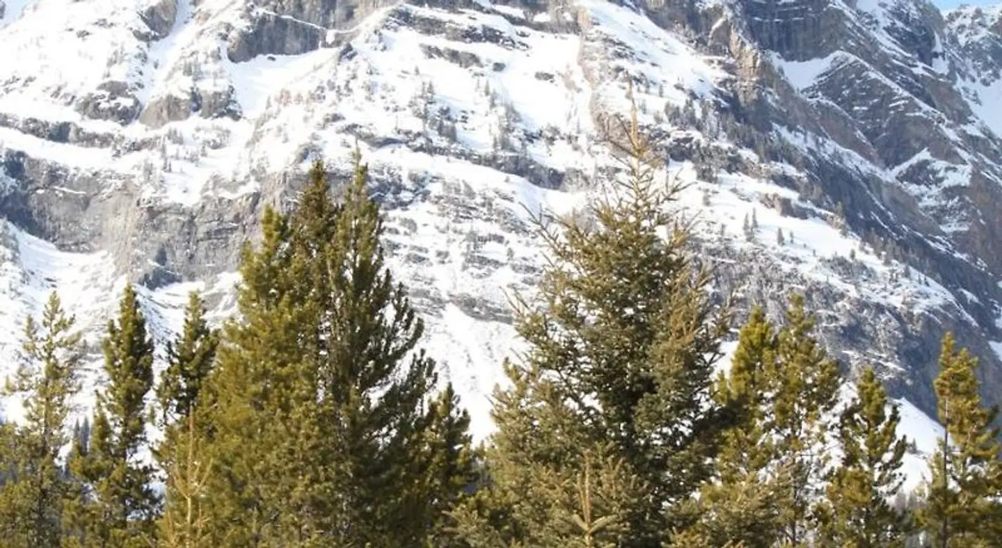 The Crossing Resort SPORTS_AND_LEISURE