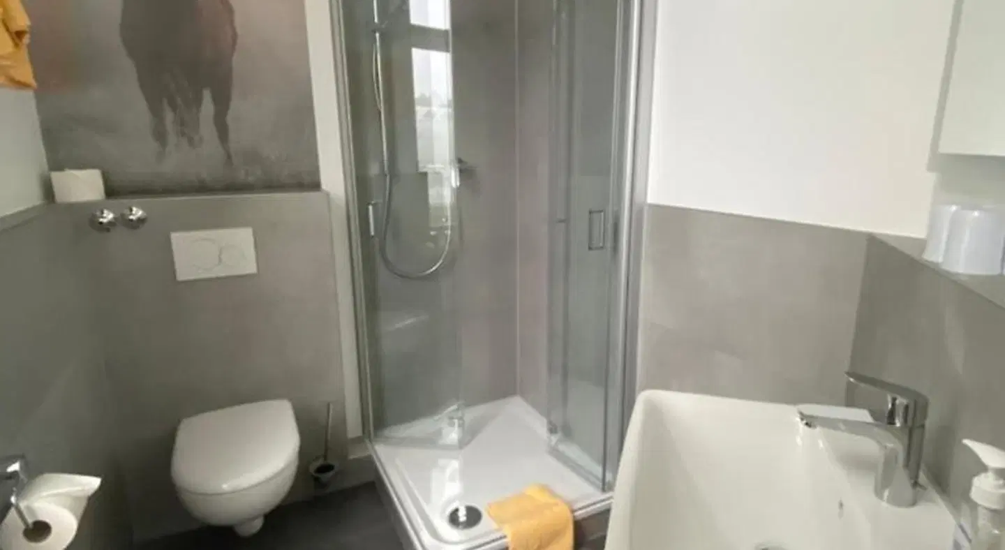 Hotel Wolfsschlucht Badezimmer