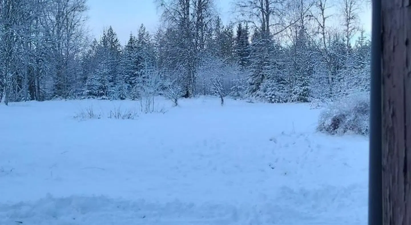 Tyforsgården LANDSCAPE