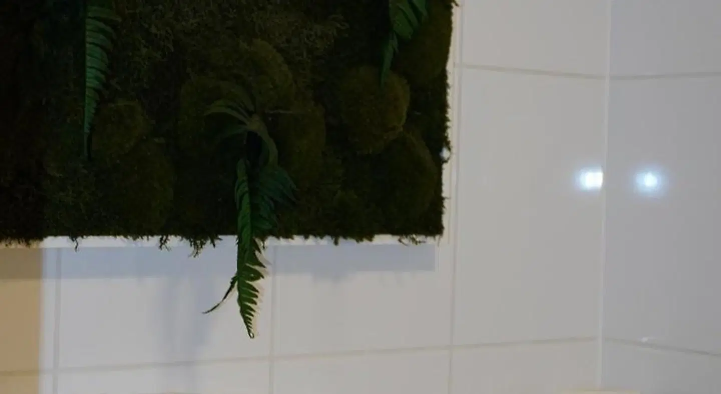 Hotel Fuchs LANDSCAPE