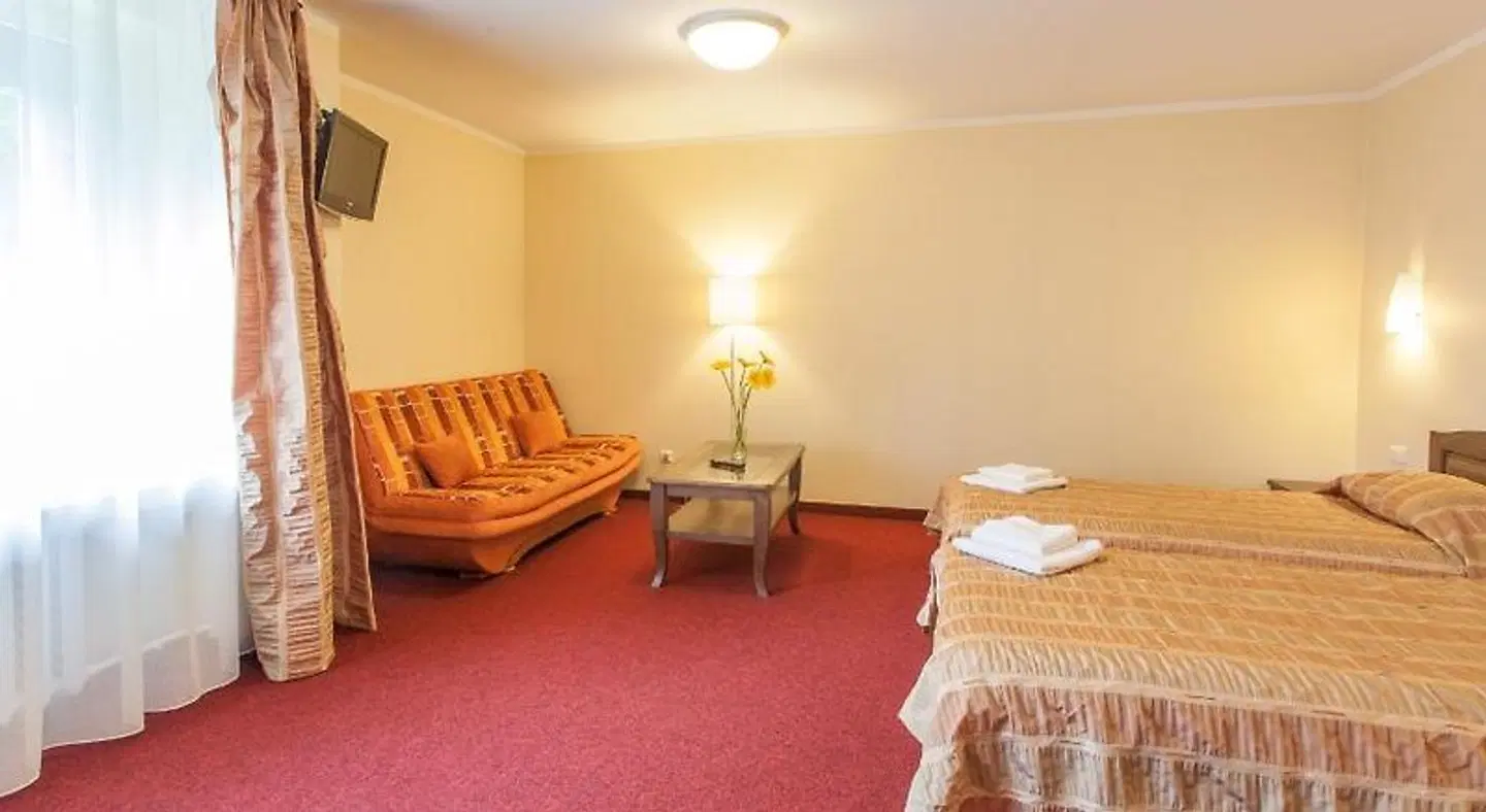AirInn Vilnius Hotel ROOM_EXAMPLE