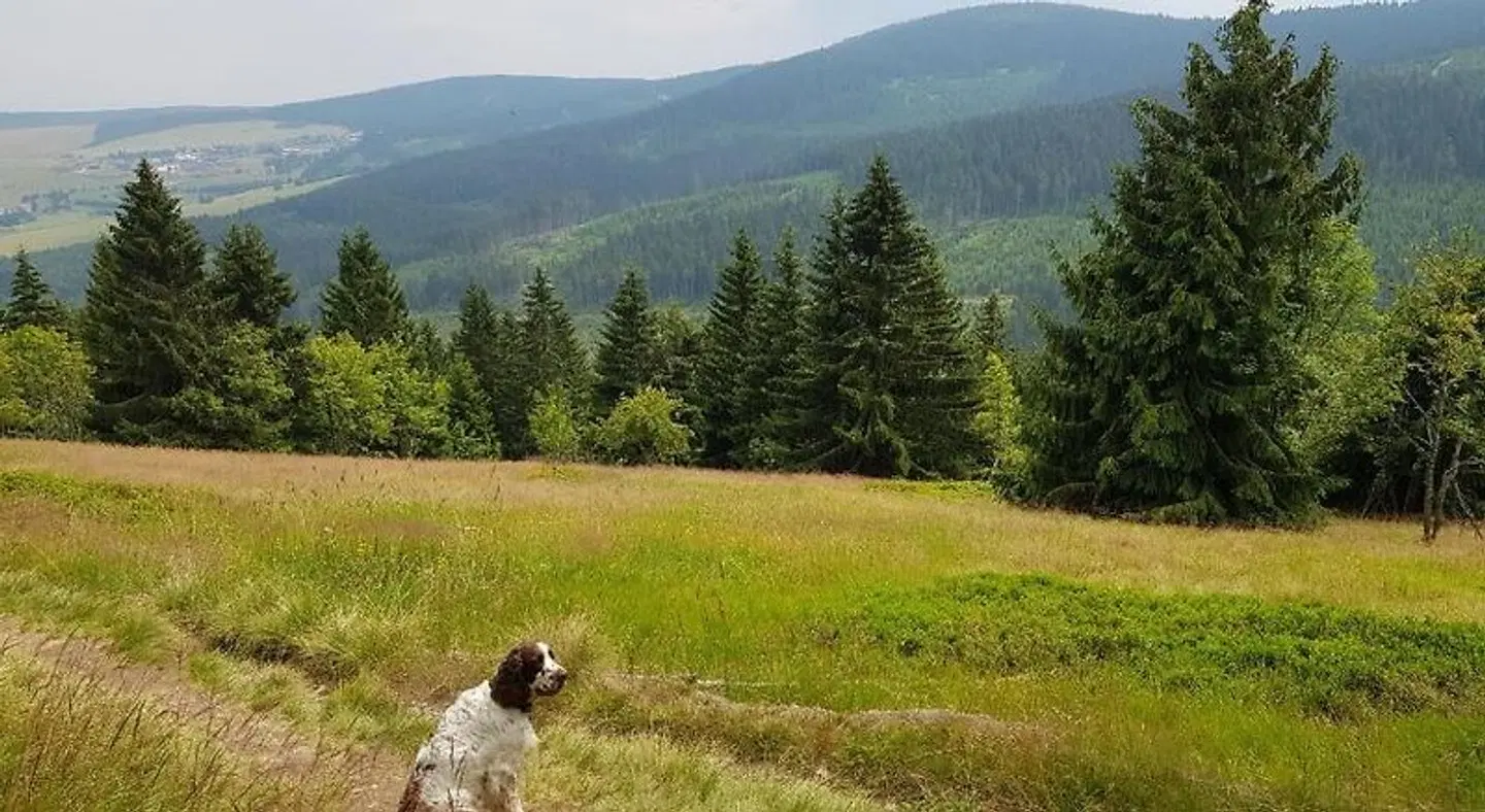 Ferienwohnung Grenzblick LANDSCAPE