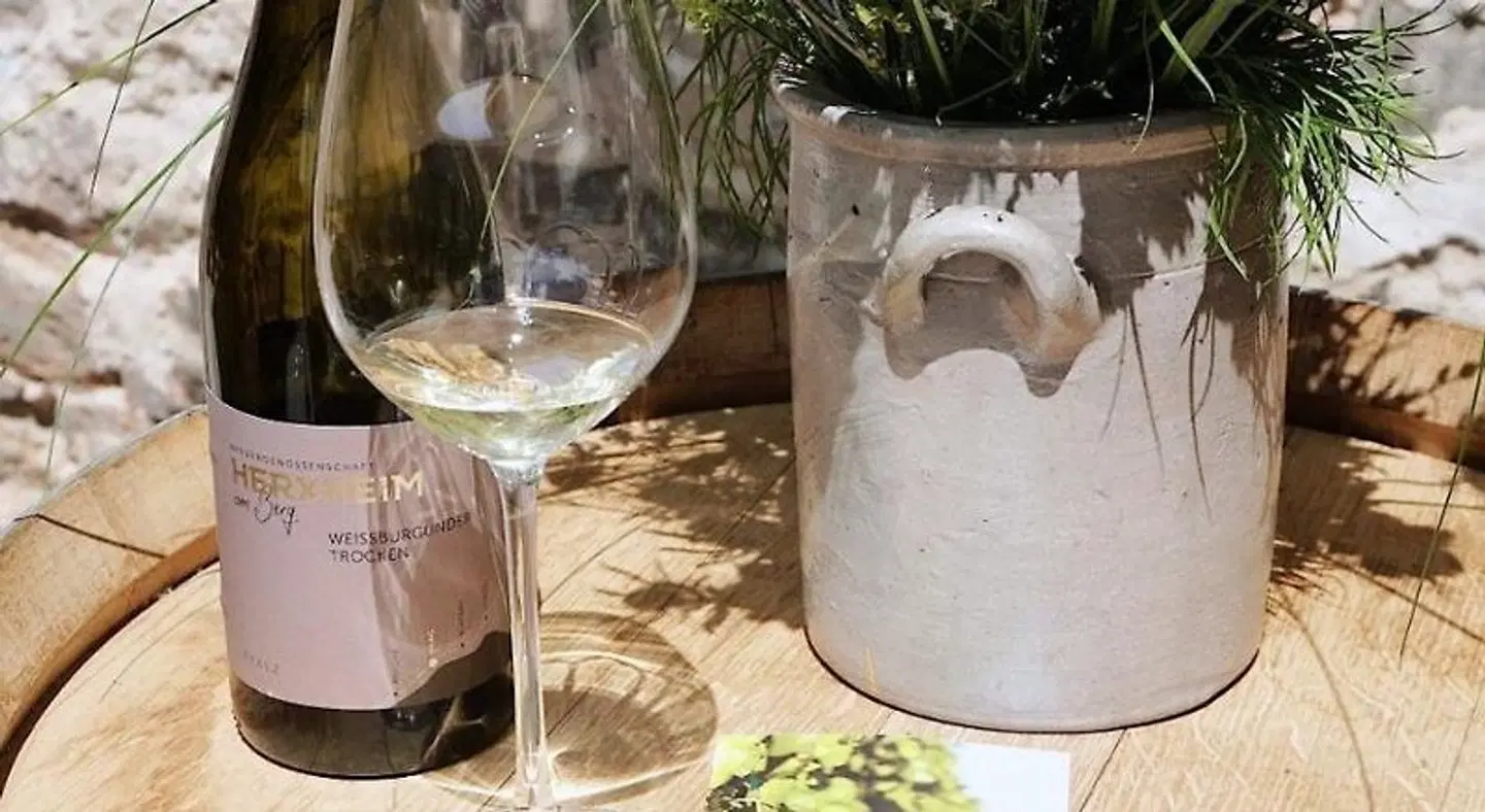 Vinotel Weinstrasse HEALTH_BEAUTY