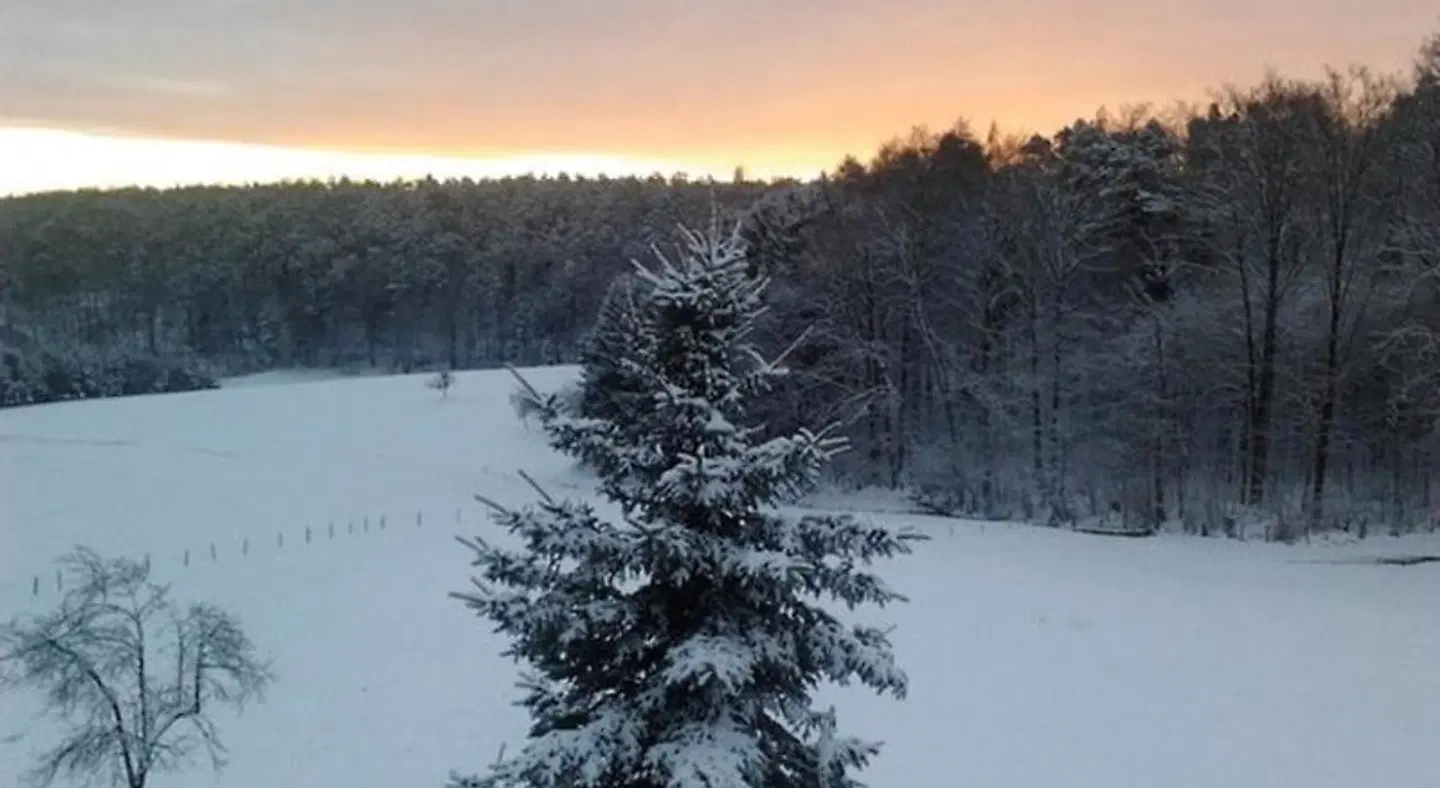 Ferienwohnungen Zeltnerhof LANDSCAPE