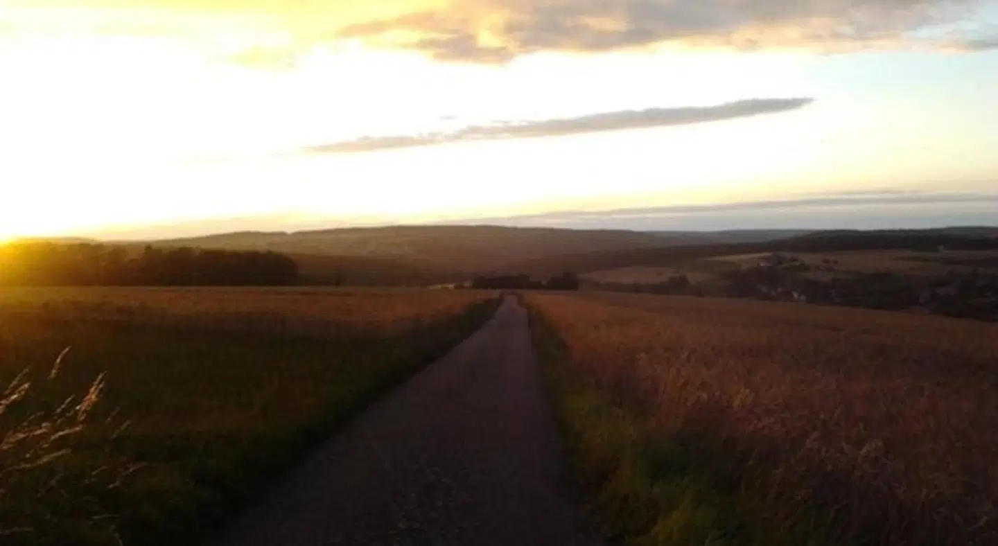 Ferienwohnungen Zeltnerhof LANDSCAPE