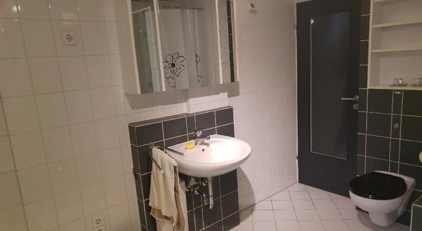 Apartment Rhein Main Badezimmer