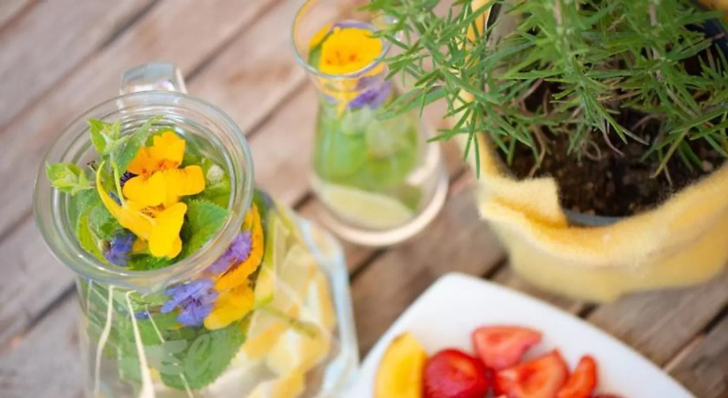 Die Finca Badezimmer