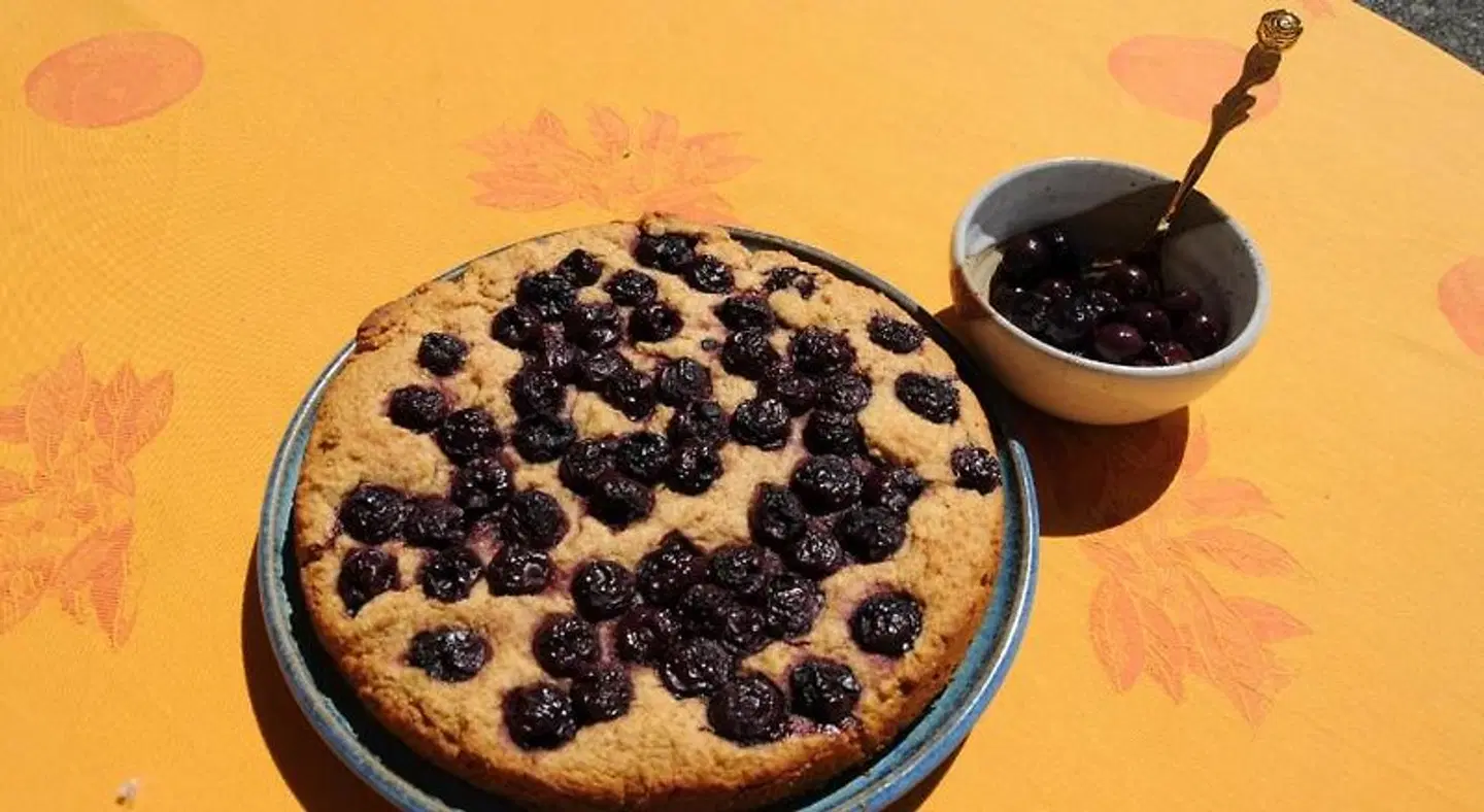 Bio-Gastehaus Rhondistel Tiere