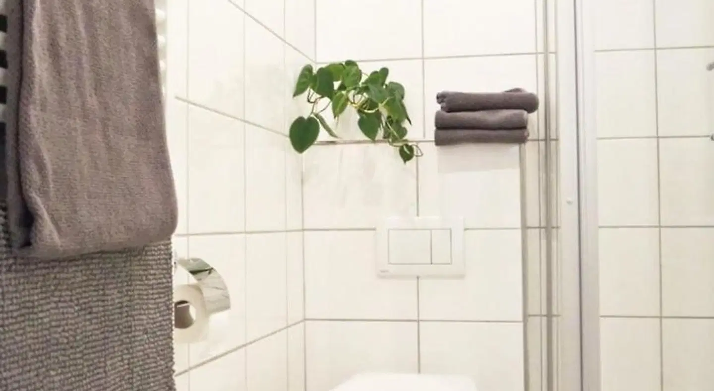 Zum alten Euler Badezimmer