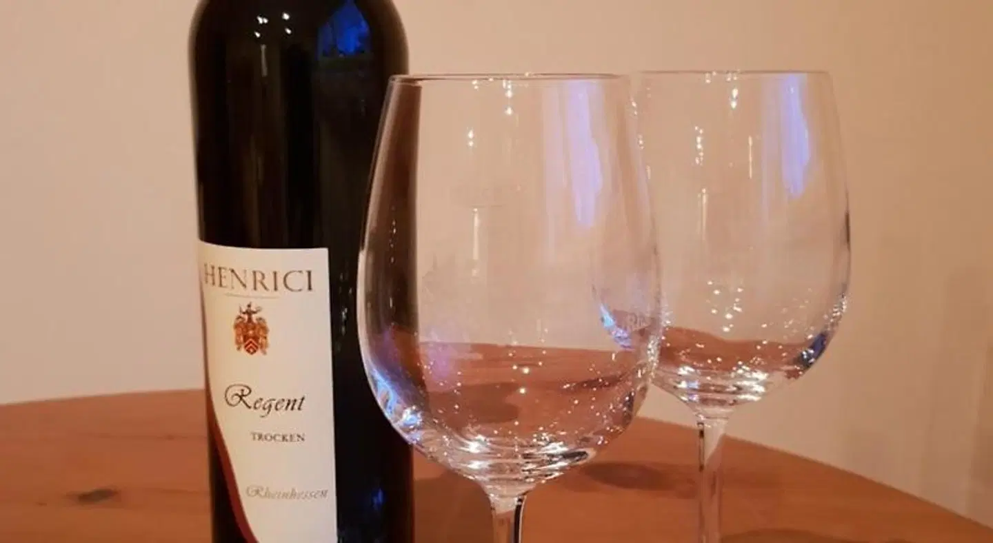 Weingut und Gastehaus Henrici Konferenz