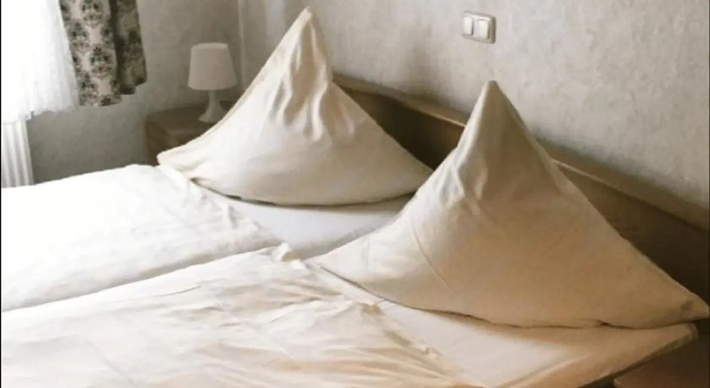 Bed and Breakfast - Rheingauer Hof ROOM_EXAMPLE