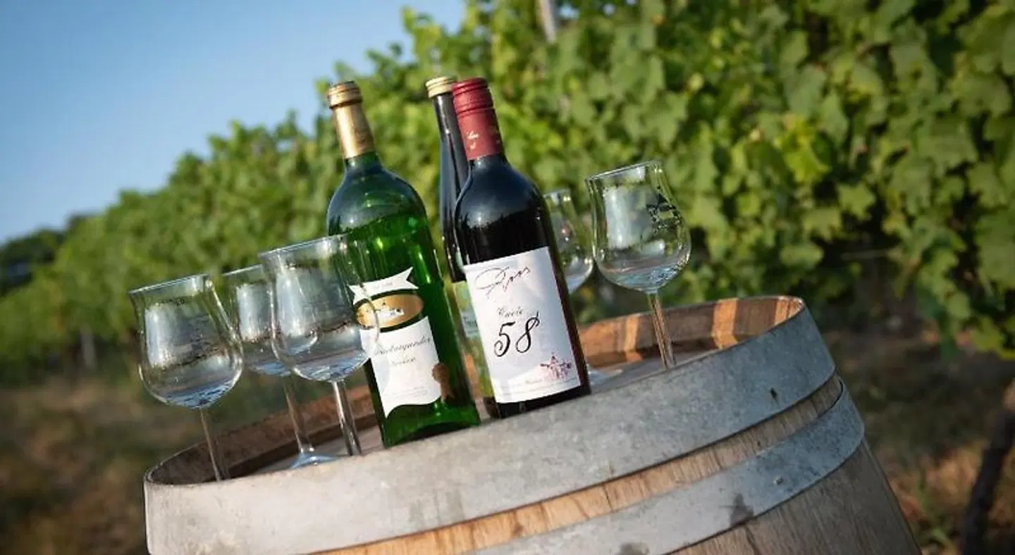 Weinschloßchen im Weingut Roos SPORTS_AND_LEISURE