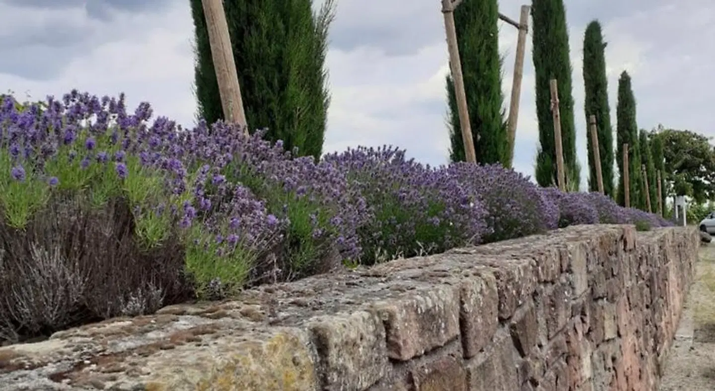 Das Landhotel Weingut Gernert Garten