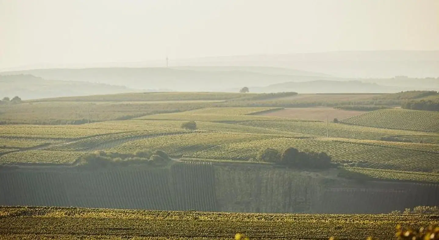 Meyerhof - Weingut, Vinothek & Gästehaus LANDSCAPE