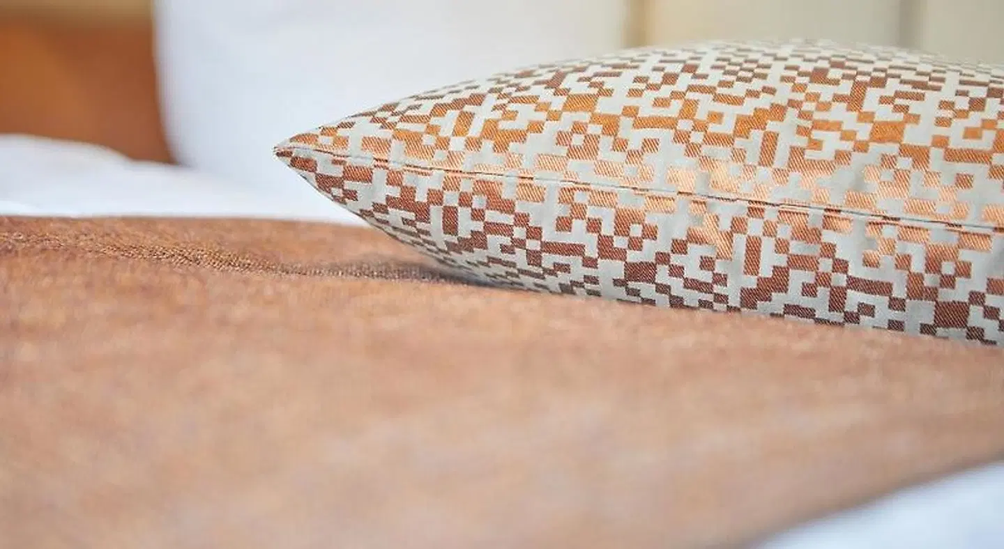 VR-Serviced Apartments Obergeis Tiere