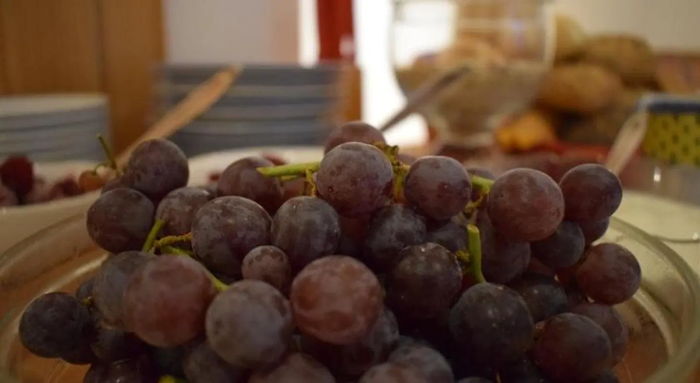 Haus Hilgenfeld Konferenz