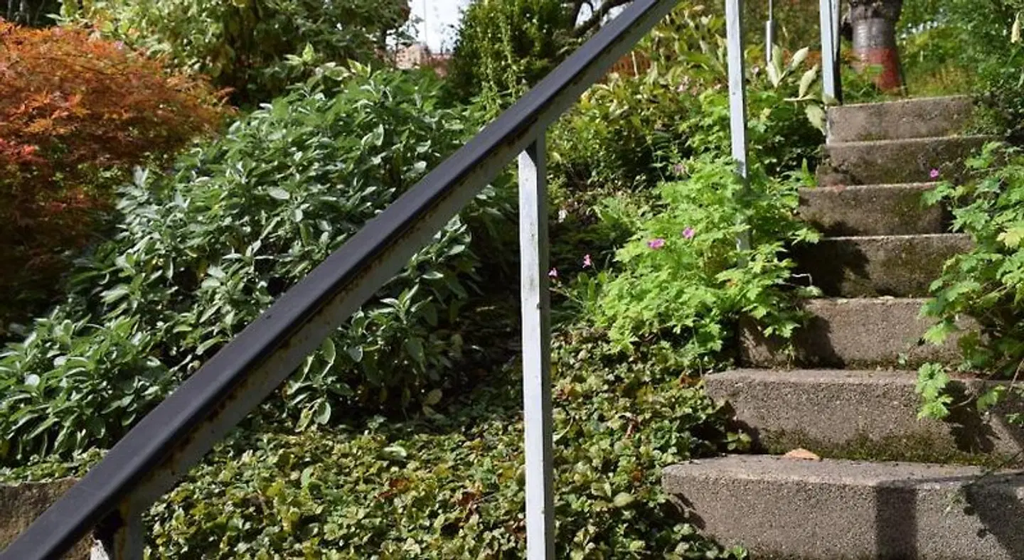 Haus Hilgenfeld LANDSCAPE