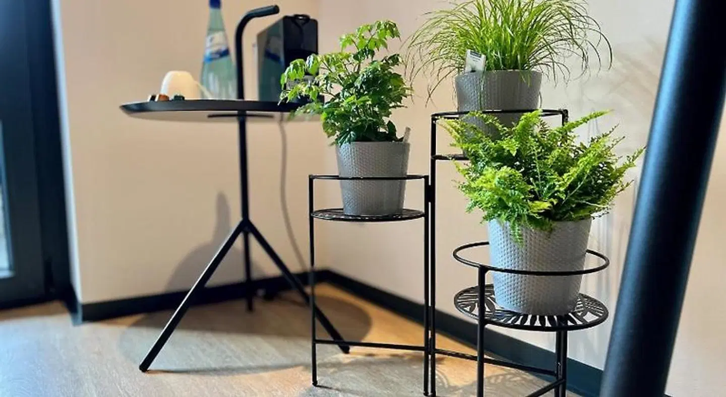 Hotel Drei Hofe Terrasse