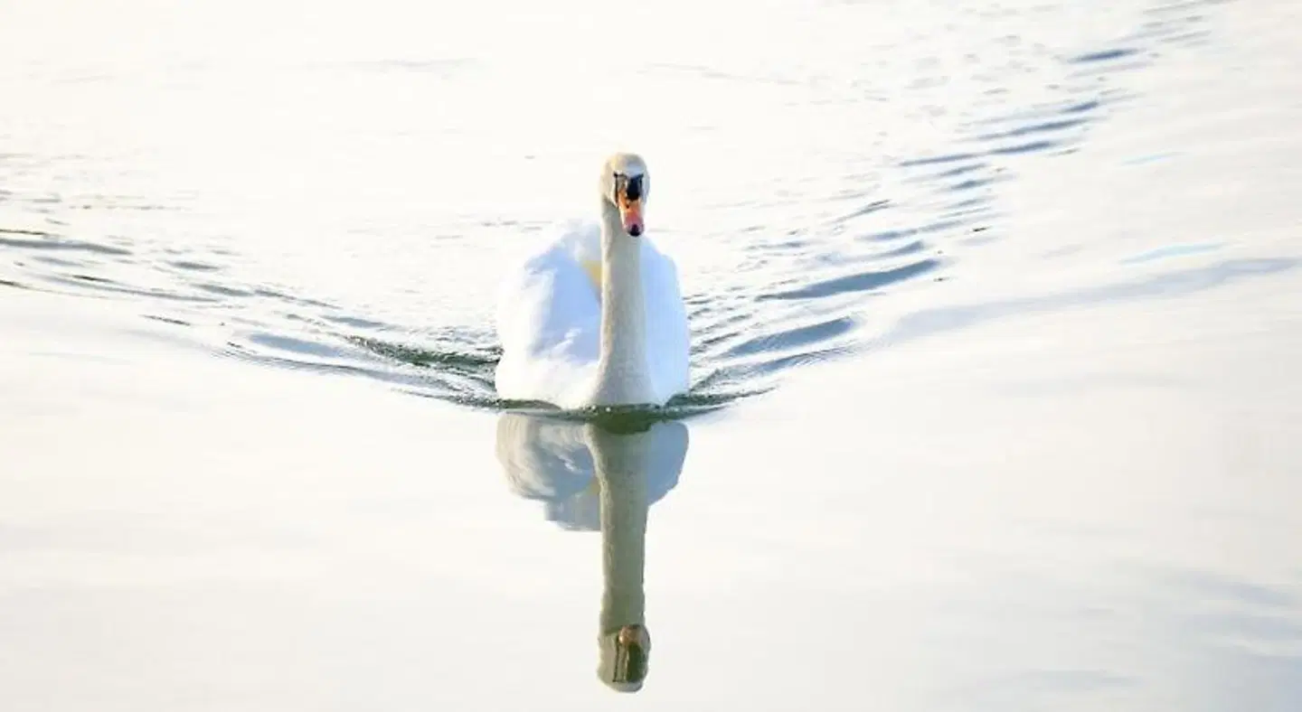 The STARNBERGSEE Hideaway SPORTS_AND_LEISURE