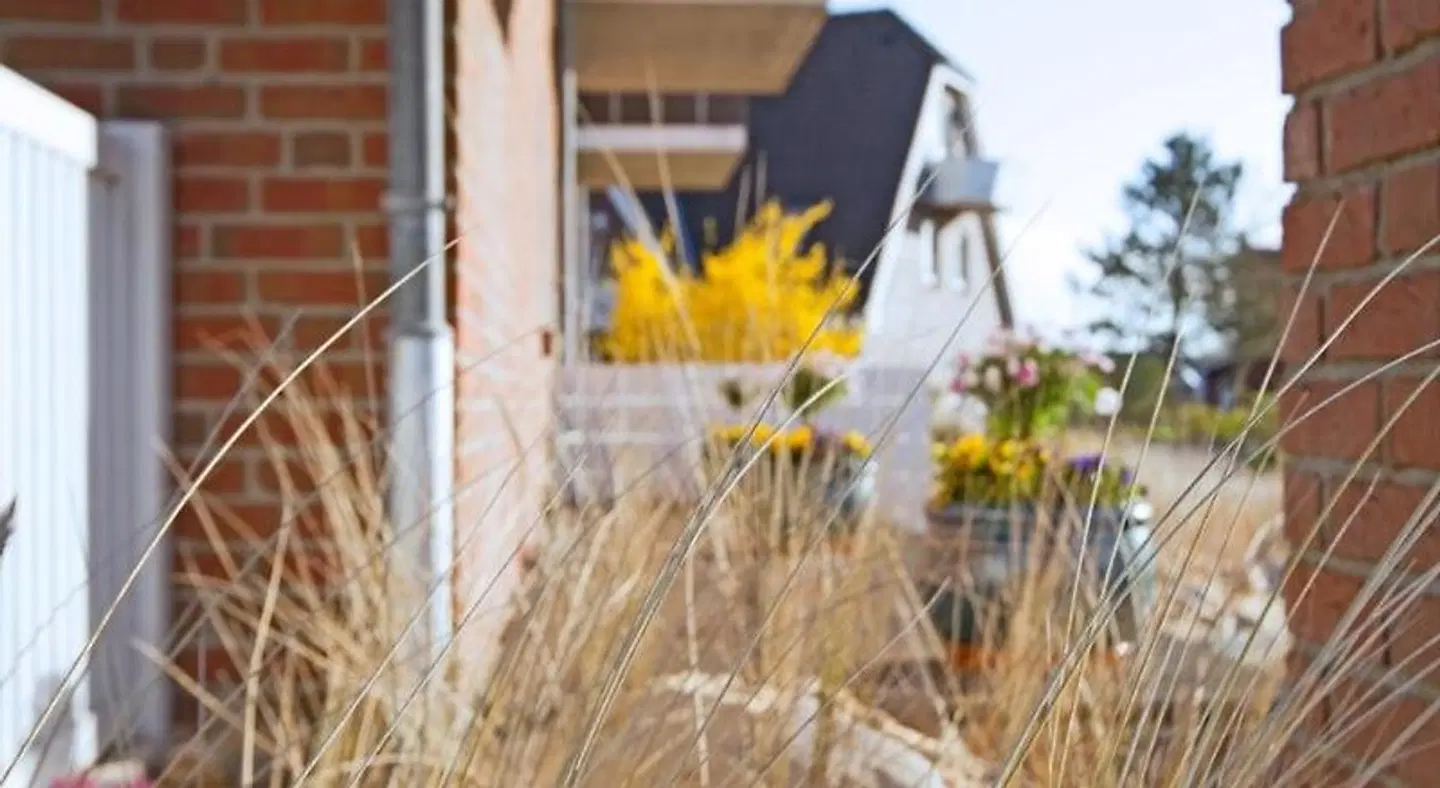 Gouverneur-Maxse EXTERIOR