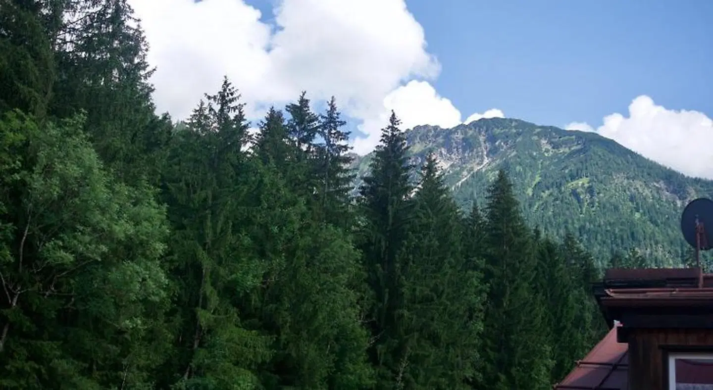 Mountain Hostel City LANDSCAPE