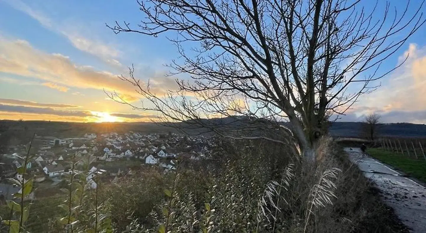 Gasthof Rebland LANDSCAPE