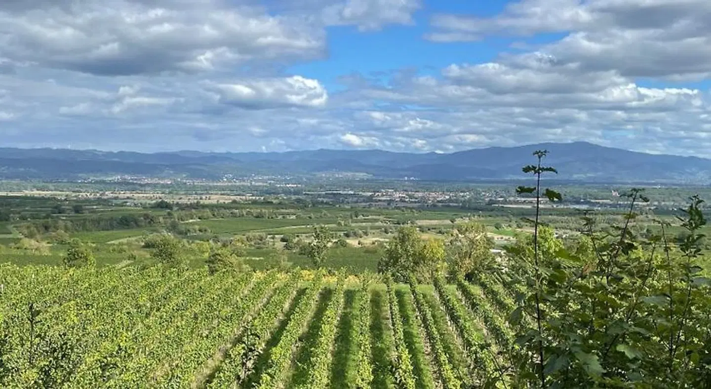 Gasthof Rebland LANDSCAPE