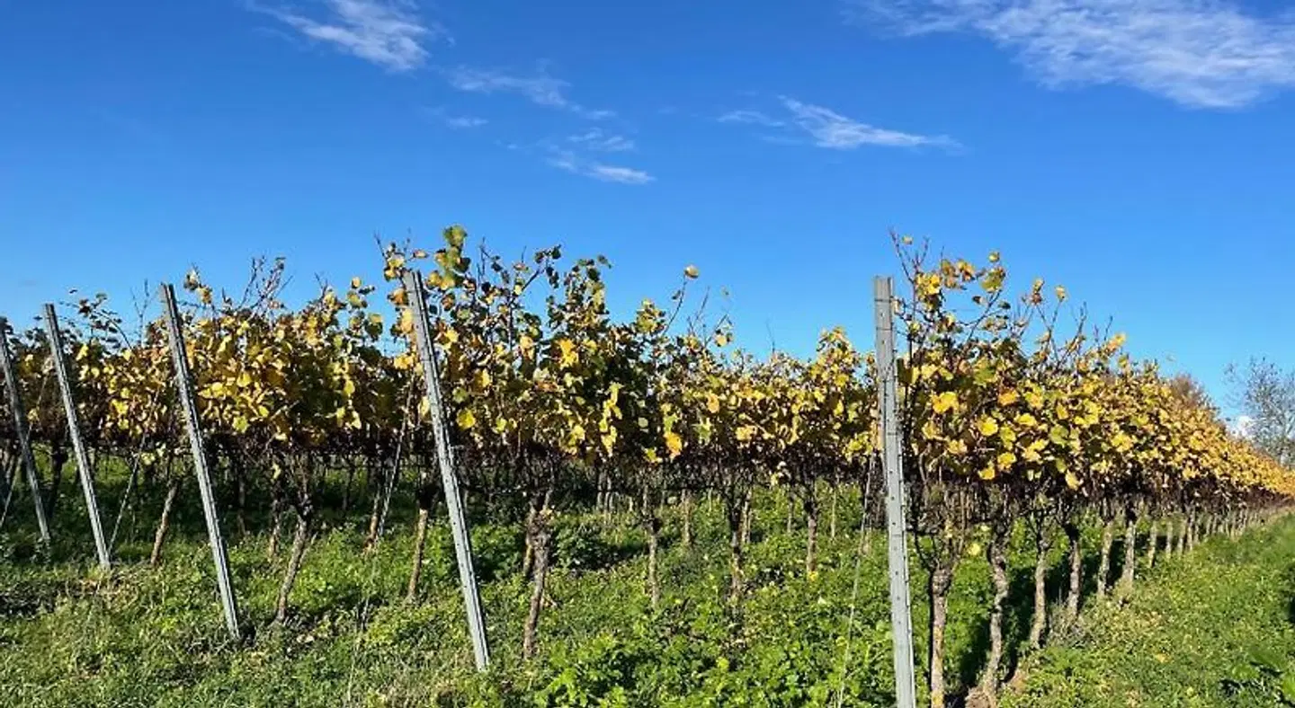 Gasthof Rebland LANDSCAPE