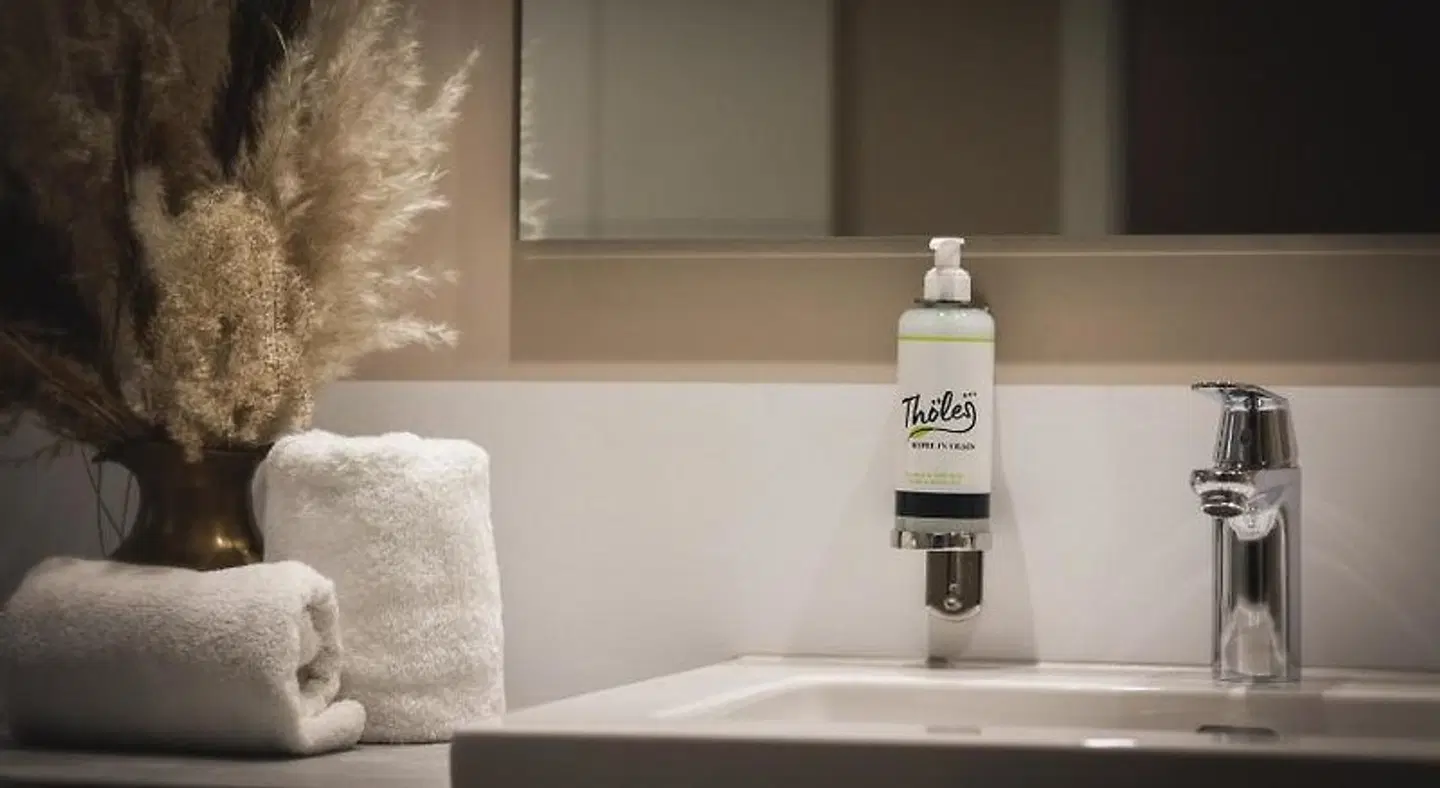 Tholes Hotel in Vilsen ROOM_EXAMPLE