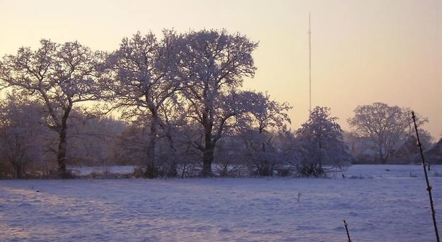 Waldquelle LANDSCAPE