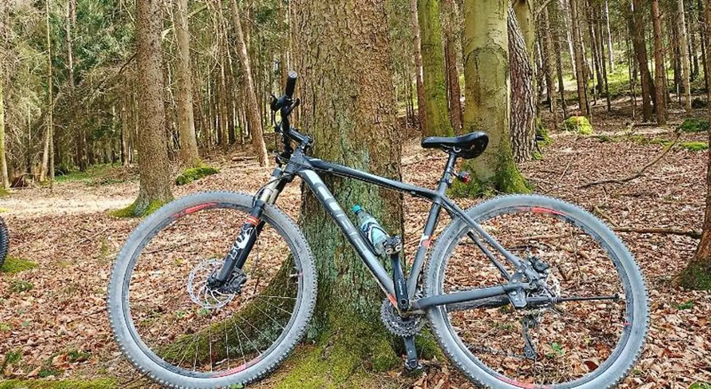 Zum Löwen - bei'm Andermichl SPORTS_AND_LEISURE