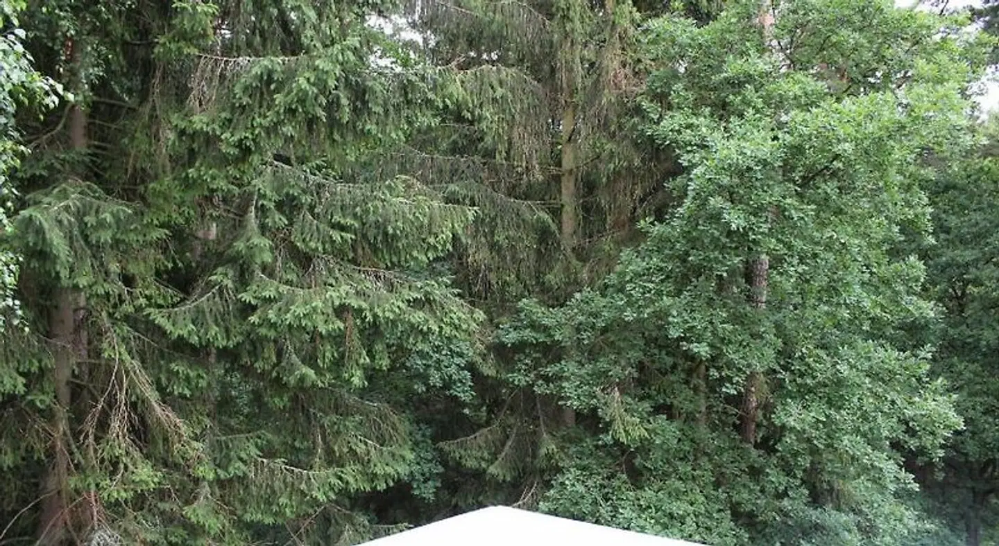 Egliu Slenis Garten