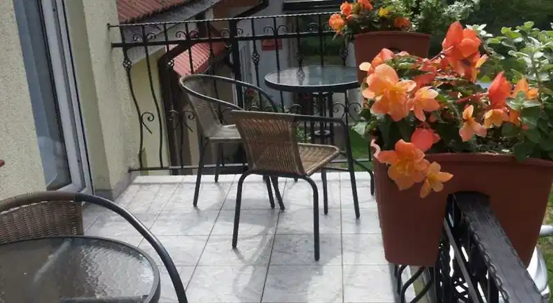 Muszla – Hotelfoto