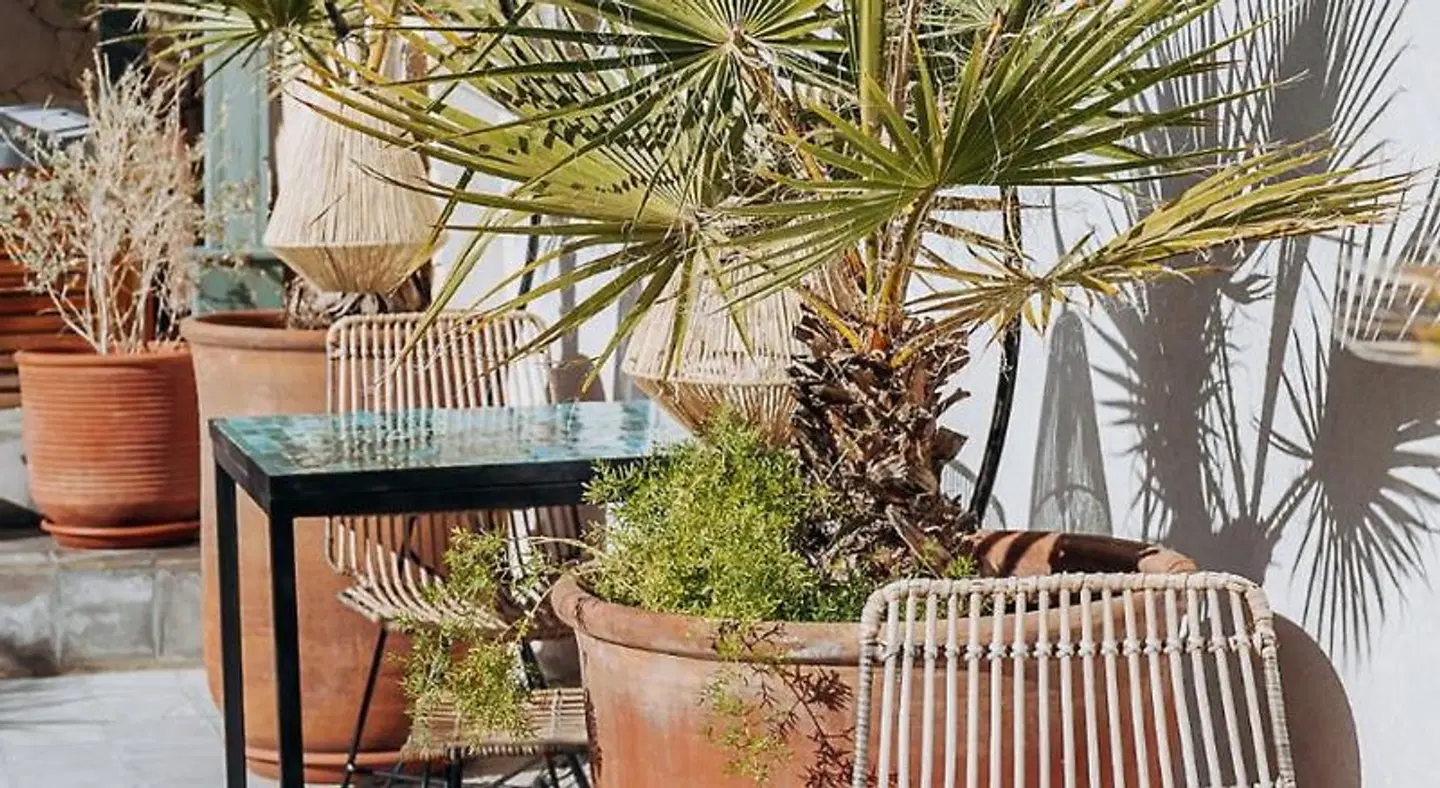 Riad Villa Wenge Spa Terrasse