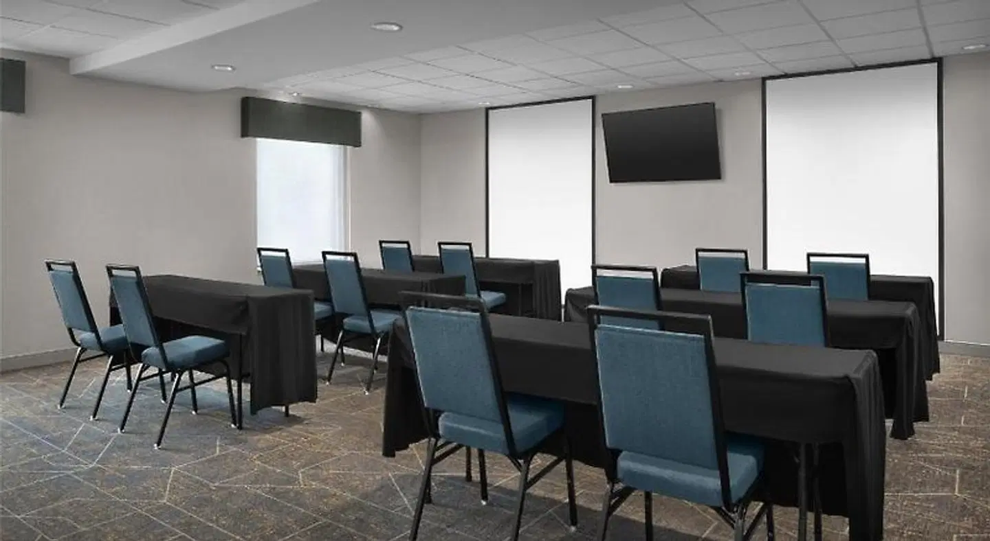 Hampton Inn & Suites Georgetown/Austin North Konferenz