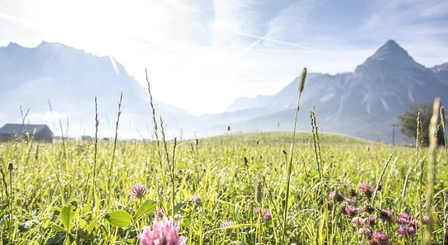 PUR Suites & Chalets LANDSCAPE