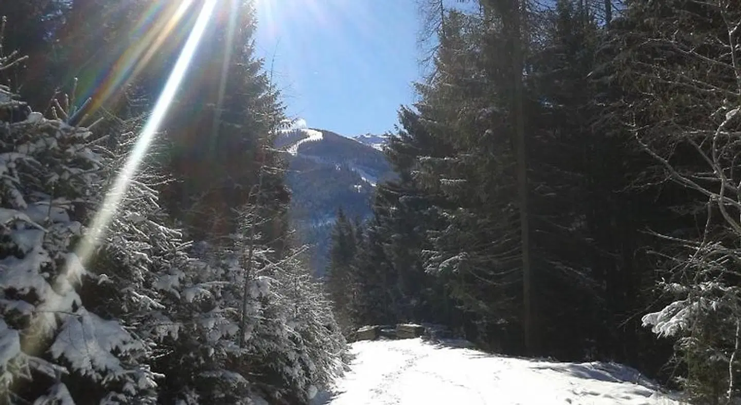 Felsenhof LANDSCAPE
