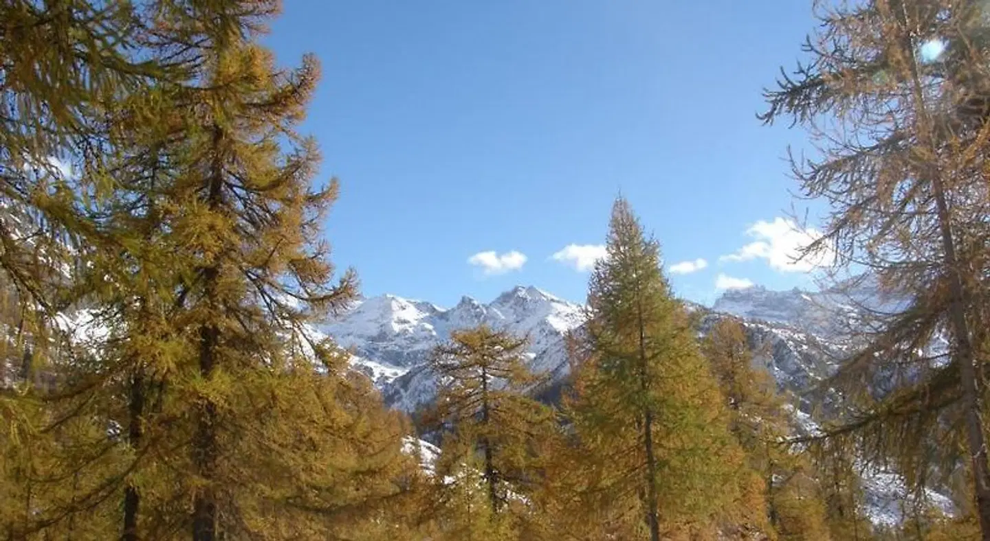 Gran Baita LANDSCAPE