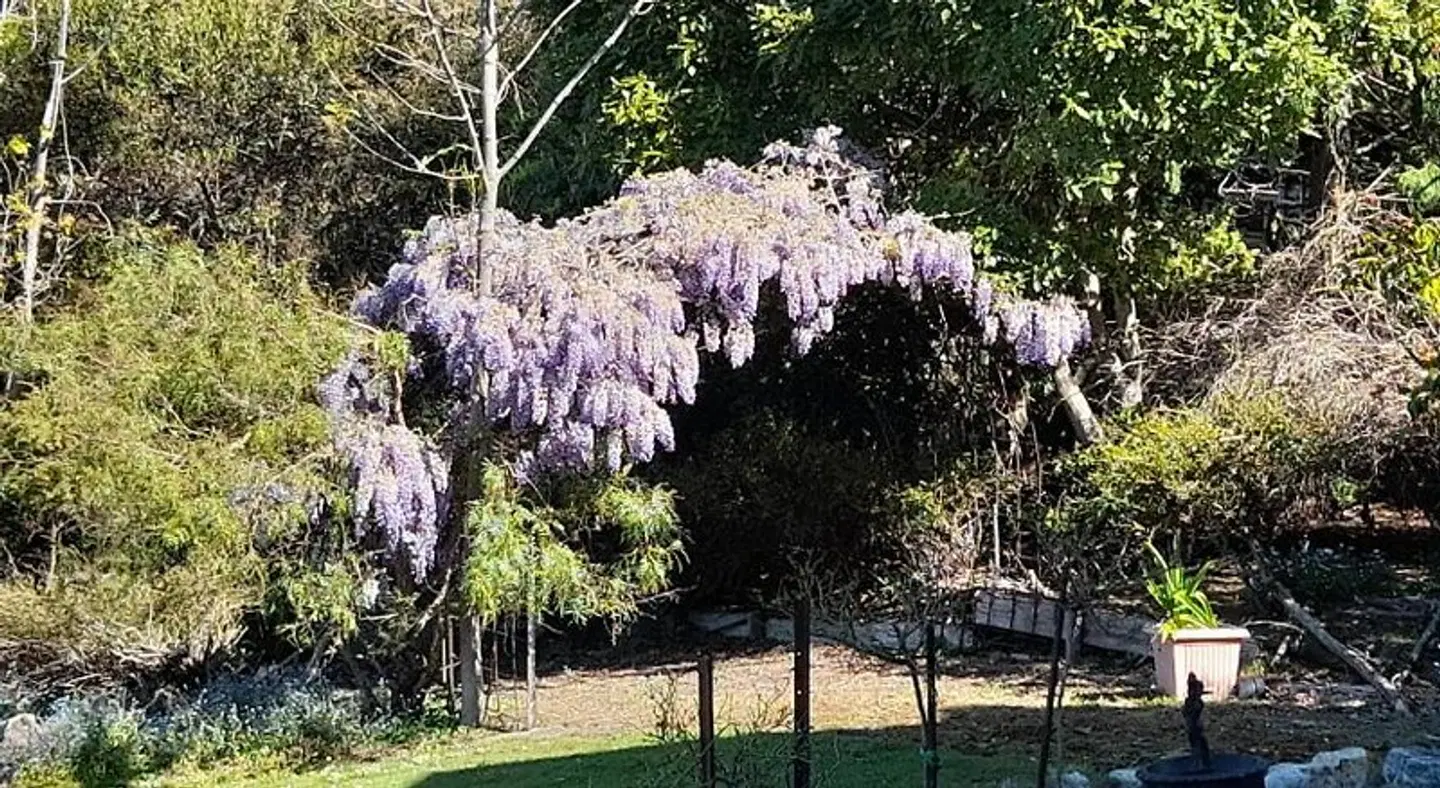 Waterview Gardens B&B Tiere