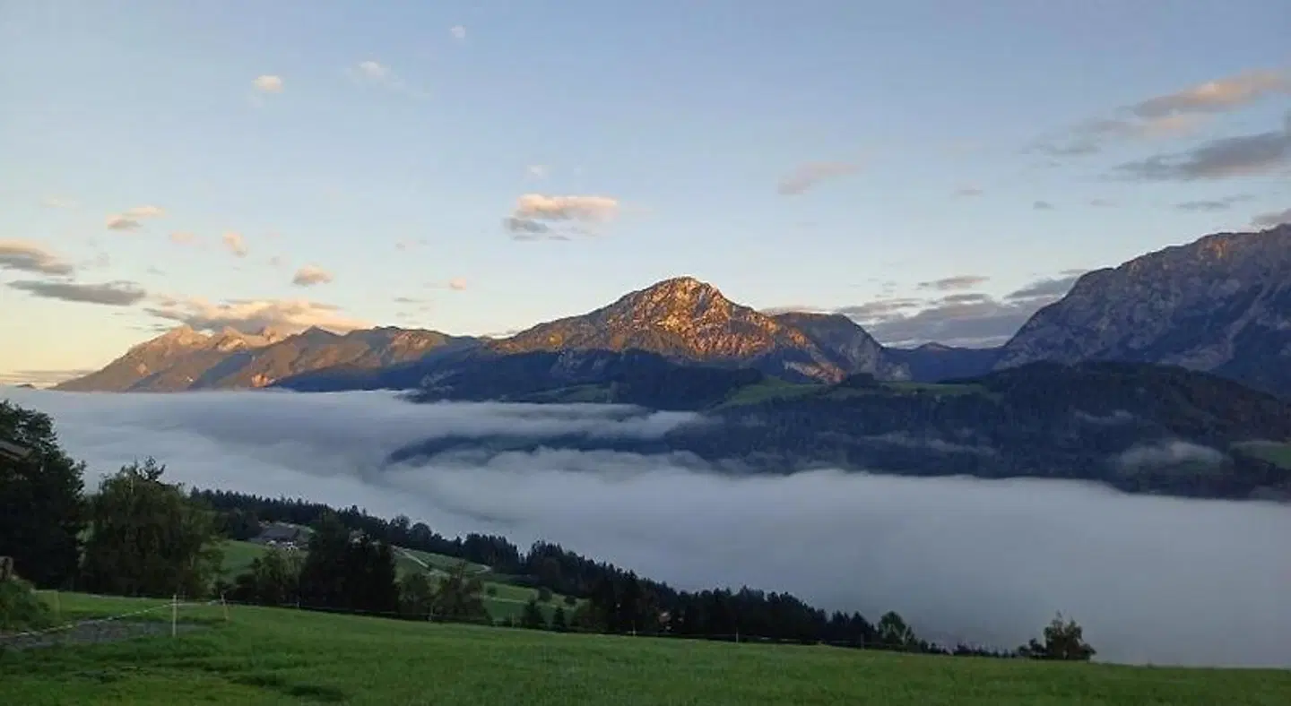 Panoramahof Gupf LANDSCAPE
