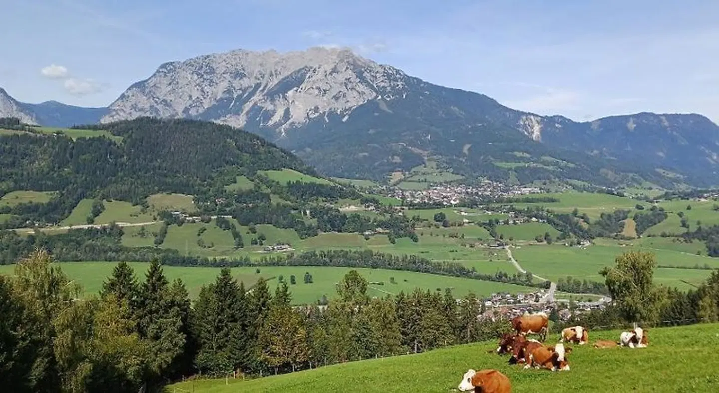 Panoramahof Gupf LANDSCAPE