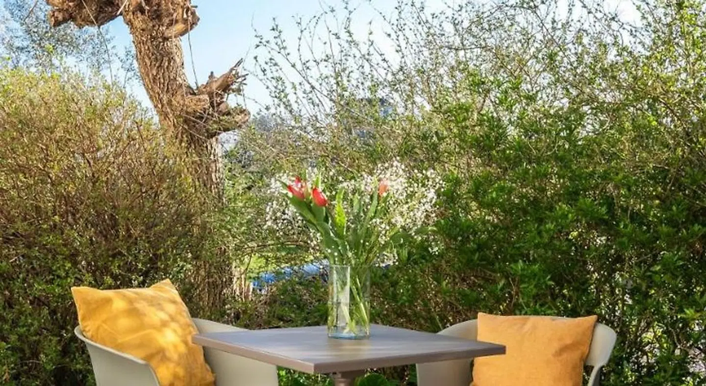 Quinta da Cerejeira Terrasse