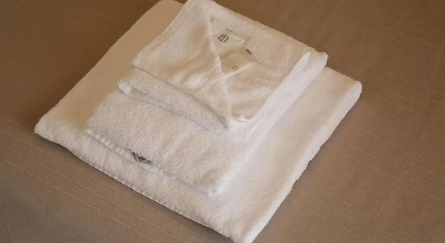 Aparthotel Capitol ROOM_EXAMPLE